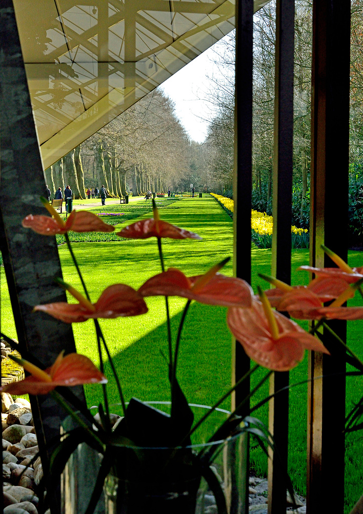 Rundgang im Keukenhof - Blumenpark in Holland April 2013 Nr.27