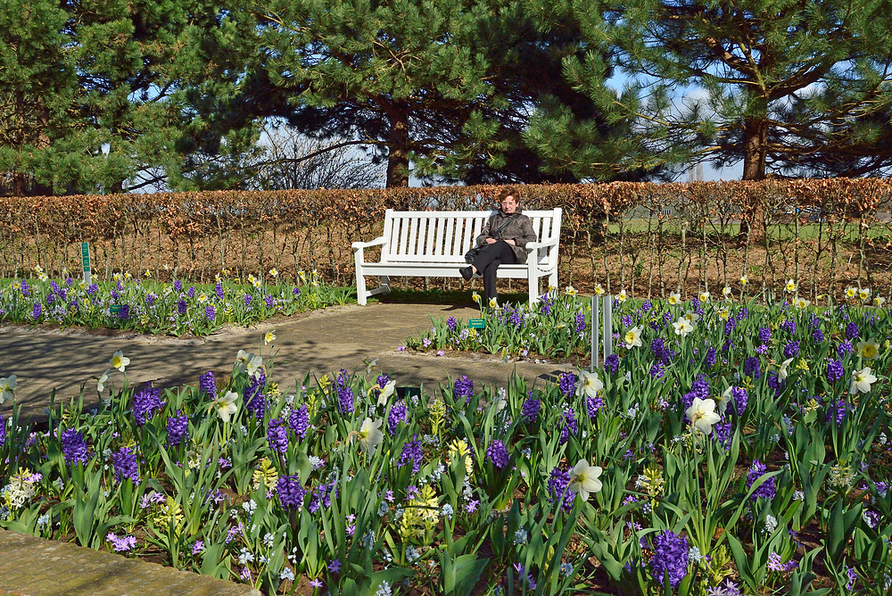 Rundgang im Keukenhof - Blumenpark in Holland April 2013 Nr.7