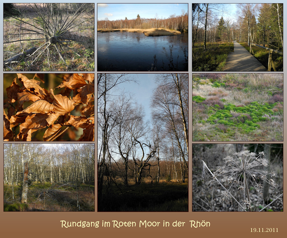 Rundgang  im  ROTEN MOOR...    -2-