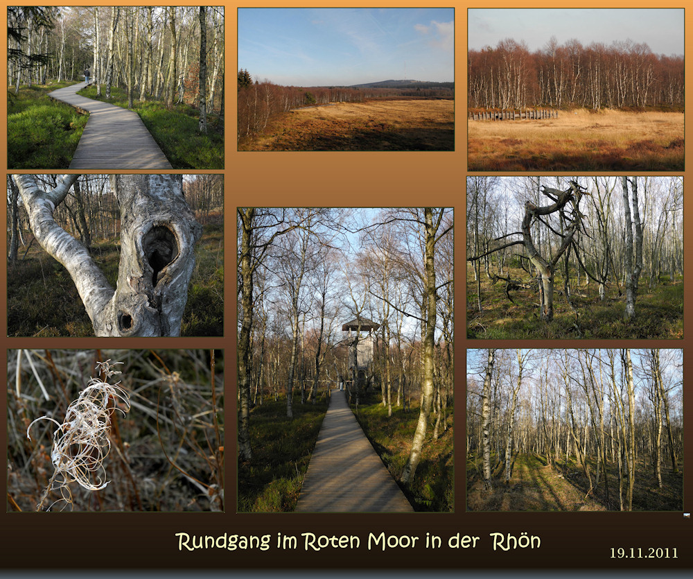 Rundgang im ROTEN MOOR  -3-