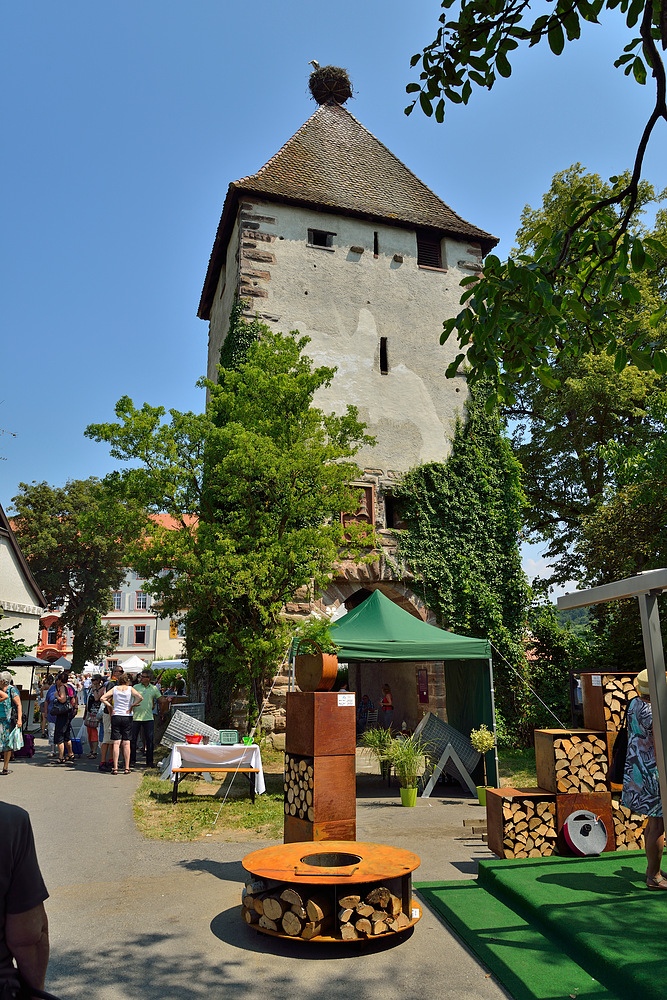 Rundgang im Schlossgarten v. Schloss Beugen anl. DiGa 17.-21.7.13