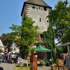 Rundgang im Schlossgarten v. Schloss Beugen anl. DiGa 17.-21.7.13