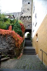 Rundgang im Städtchen Cochem an der Mosel_27