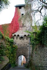 Rundgang im Städtchen Cochem an der Mosel_32