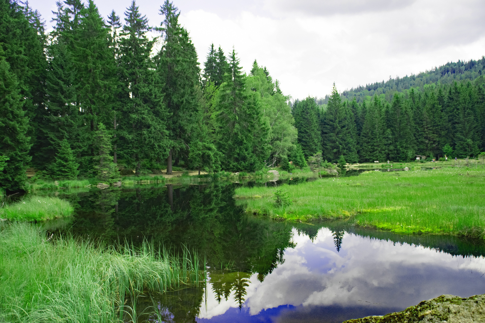 Rundgang um den kleinen Arbersee