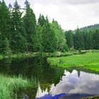 Rundgang um den kleinen Arbersee