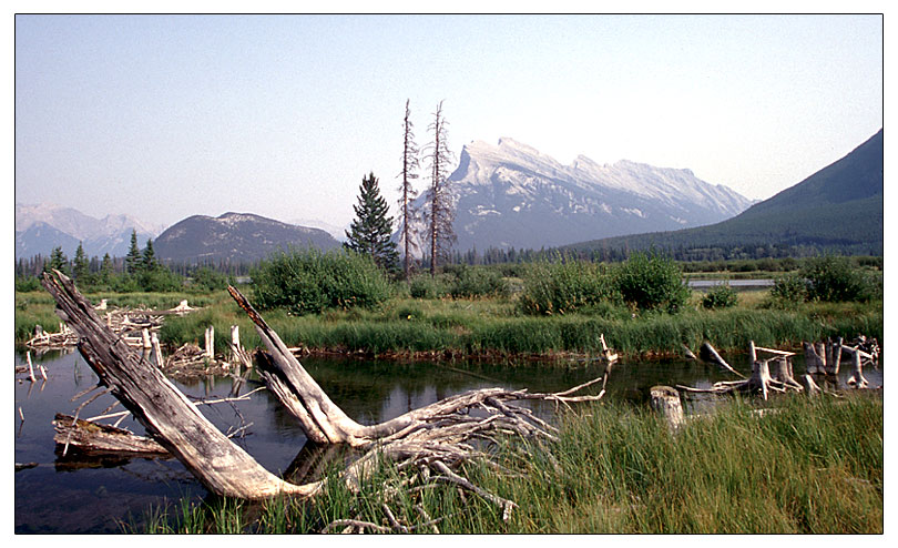 Rundle Mountain