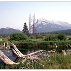 Rundle Mountain