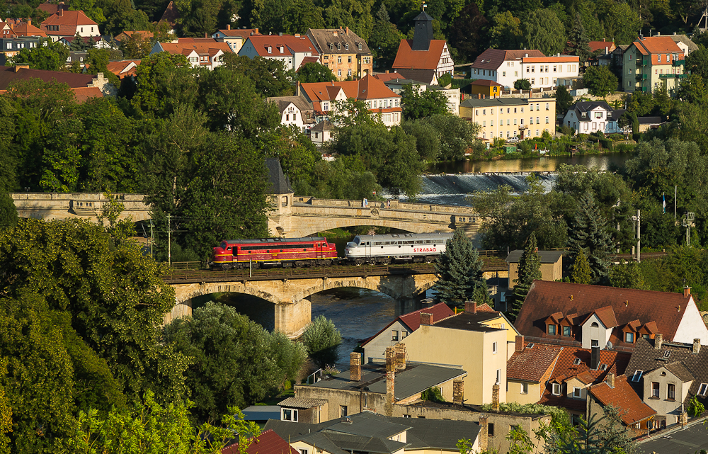 Rundnasen über der Saale