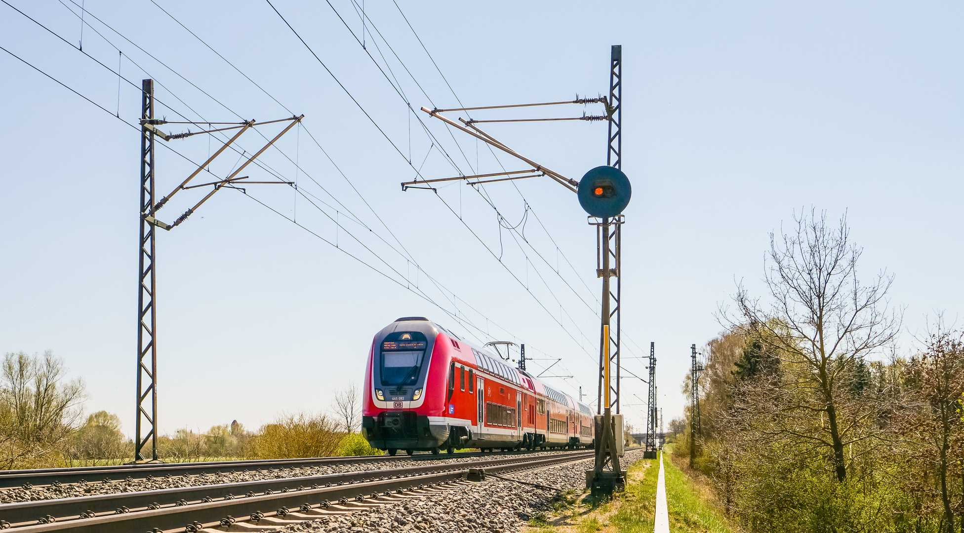 Rundschirm im Gegenlicht