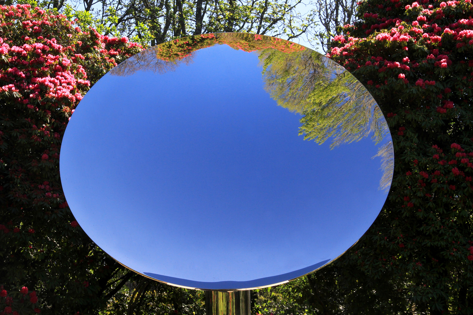 Rundspiegel im Park in Porto - round mirror in park in Porto
