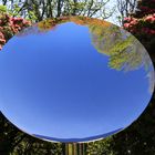 Rundspiegel im Park in Porto - round mirror in park in Porto