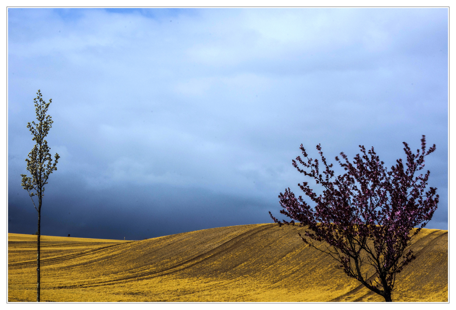 Rundum  blühende Frühlingslandschaft