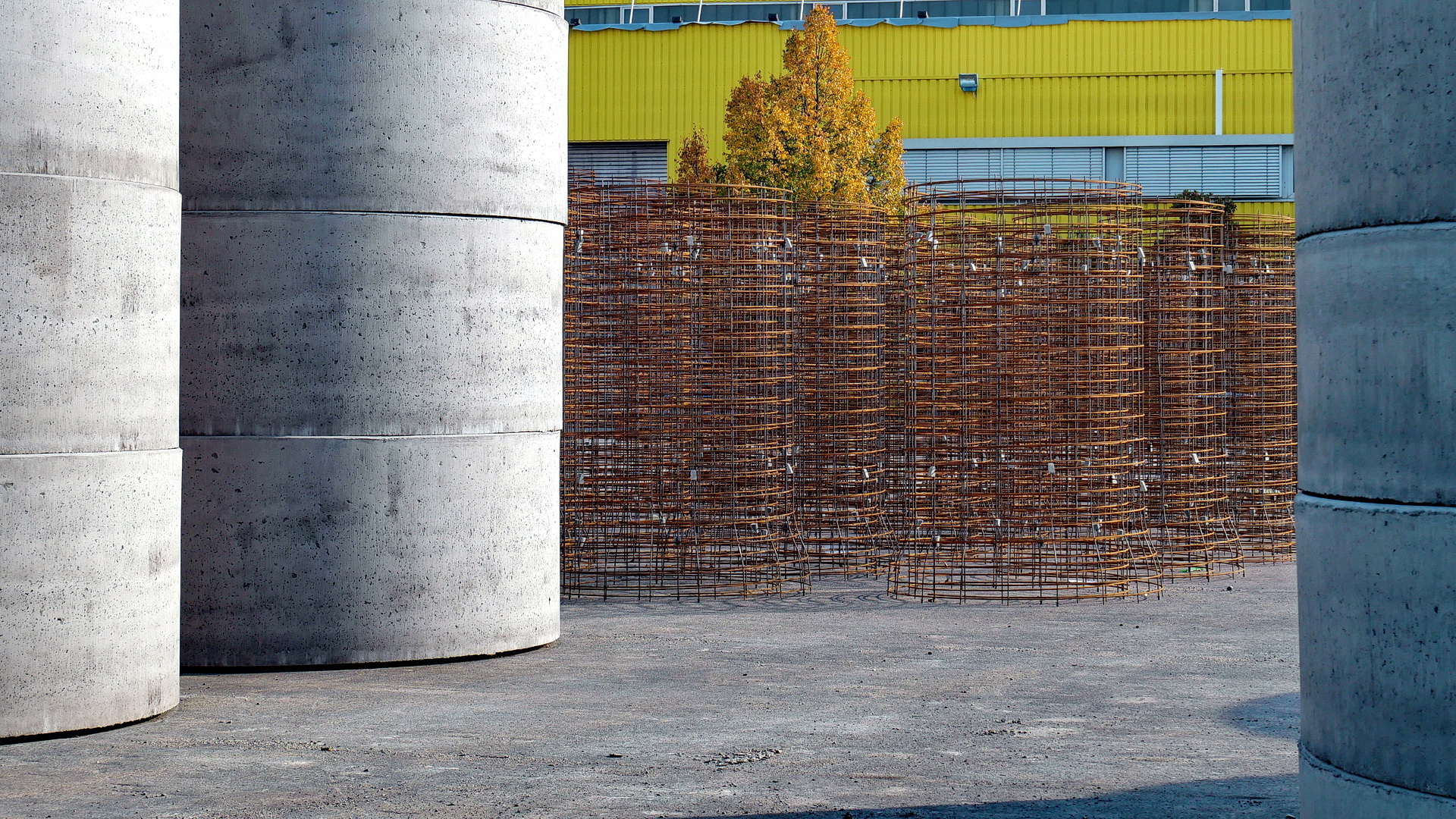 rundum rund Foto & Bild fotos, dokumentation, gelb Bilder auf