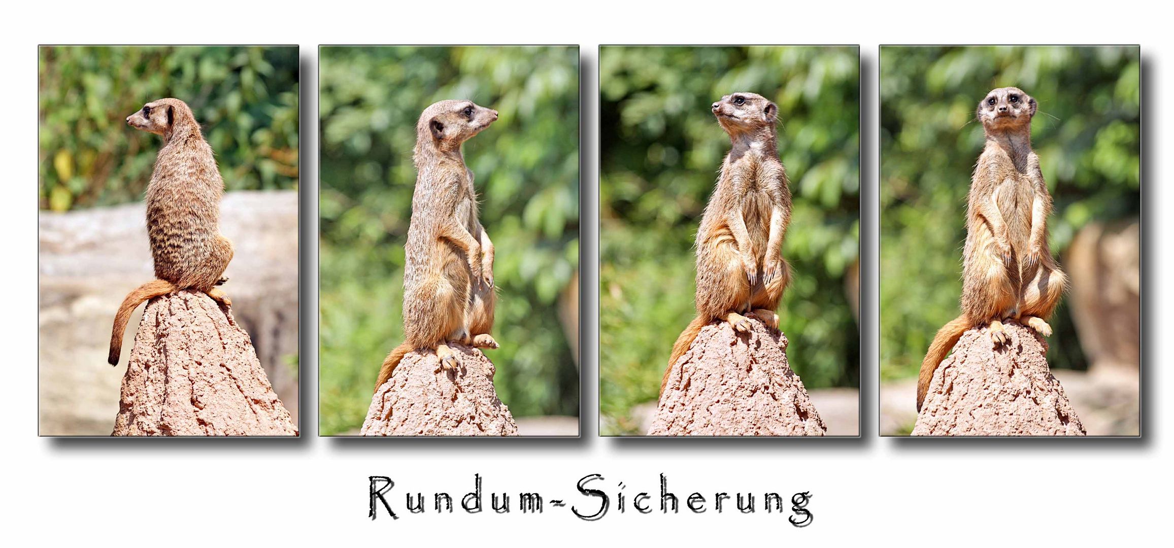 Rundum-Sicherung