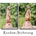 Rundum-Sicherung