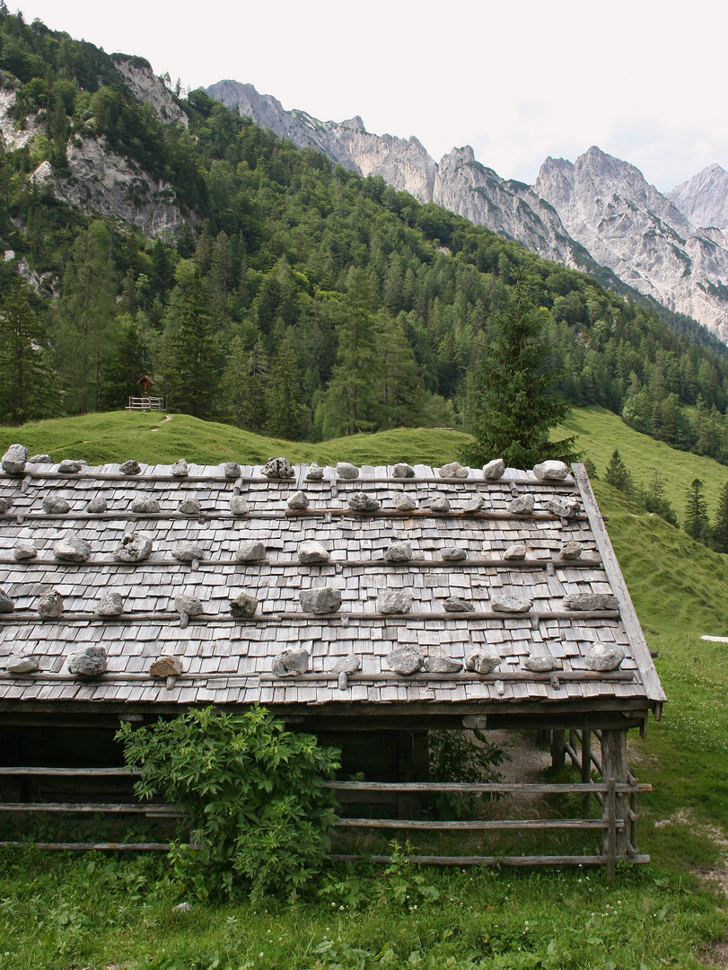 Rundumkaser auf der Bindalm, 1117 m (IMG_5667_ji)