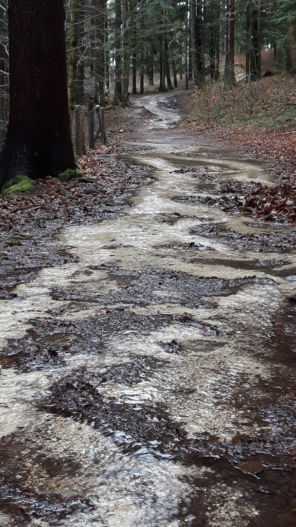 RundumWanderWeg FuschlSee