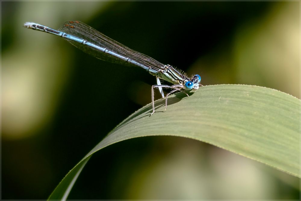 Rundungen Foto & Bild world, natur, tier Bilder auf