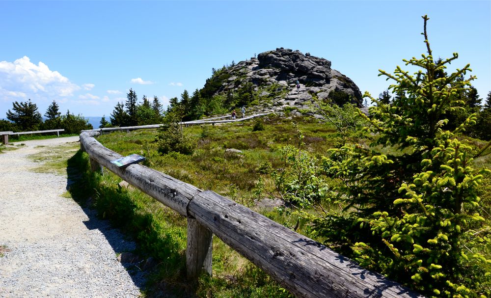Rundwanderung auf dem Großen Arber Foto & Bild deutschland, europe
