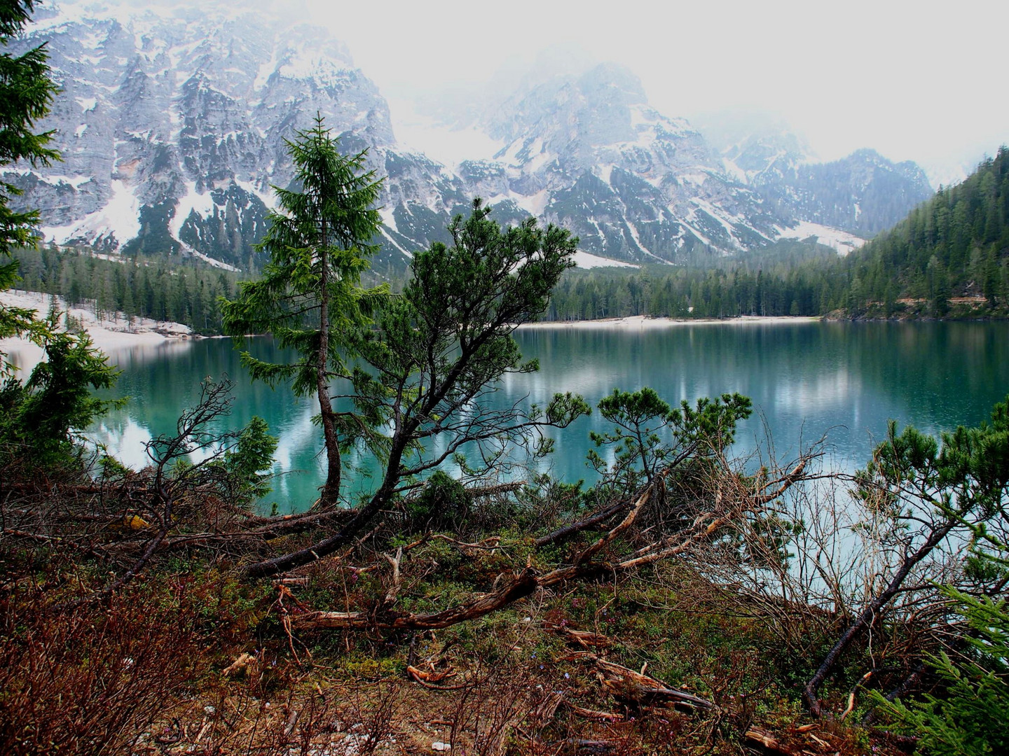 Rundwanderung Pragser Wildsee