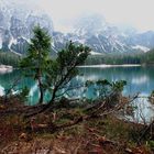 Rundwanderung Pragser Wildsee