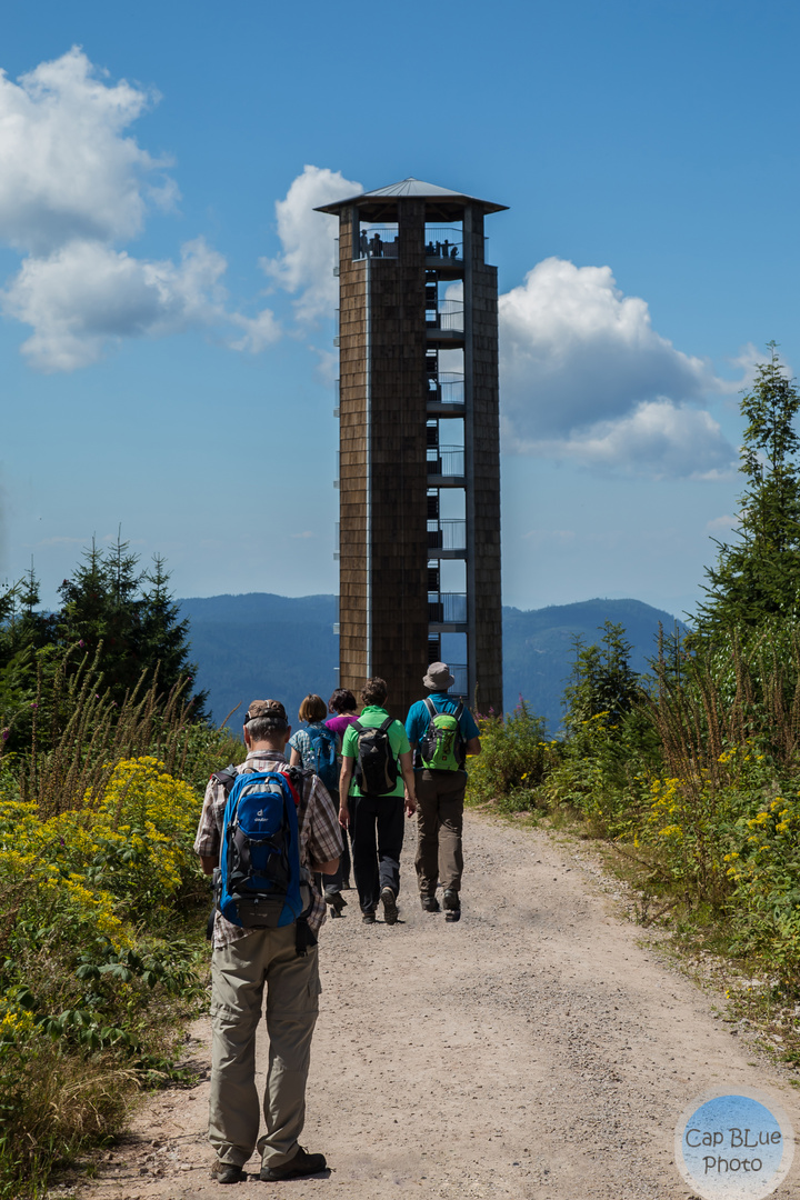 Rundwanderung zum Buchkopfturm und der Renchtalhütte Oppenauer Weg