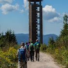 Rundwanderung zum Buchkopfturm und der Renchtalhütte Oppenauer Weg