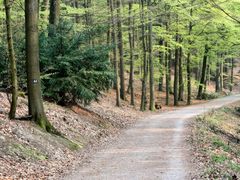 Rundwanderweg an der Eschbachtalsperre in Remscheid (02)