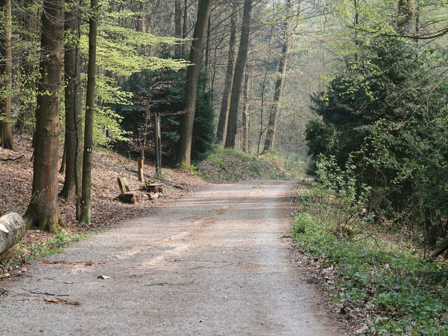 Rundwanderweg an der Eschbachtalsperre in Remscheid (03)