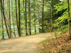 Rundwanderweg an der Eschbachtalsperre in Remscheid (1)