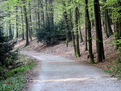 Rundwanderweg an der Eschbachtalsperre in Remscheid