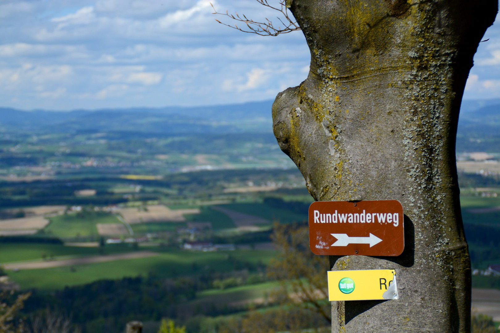 Rundwanderweg Hochkogl