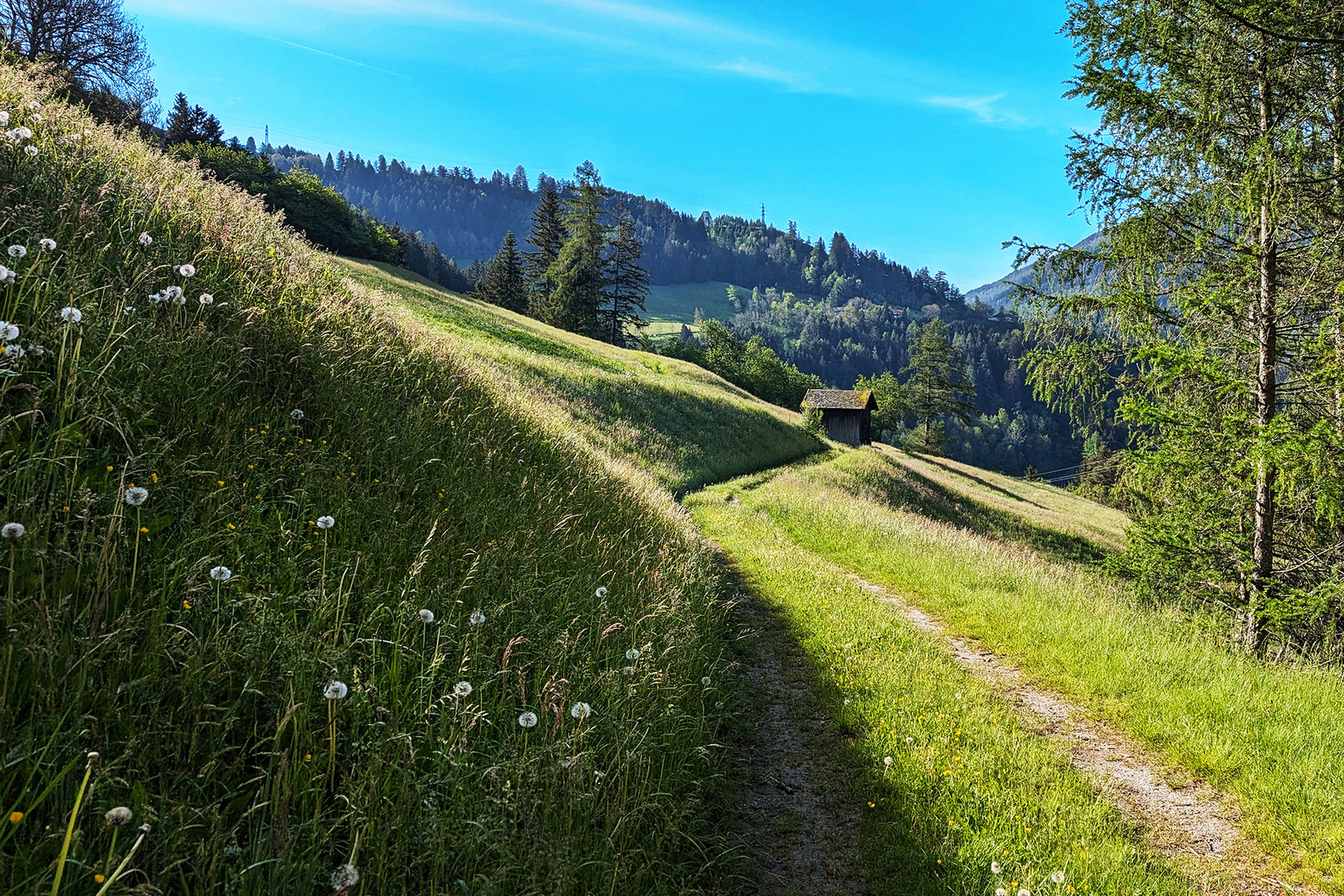 Rundwanderweg Rauher Brunnen, Patsch