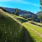 Rundwanderweg Rauher Brunnen, Patsch