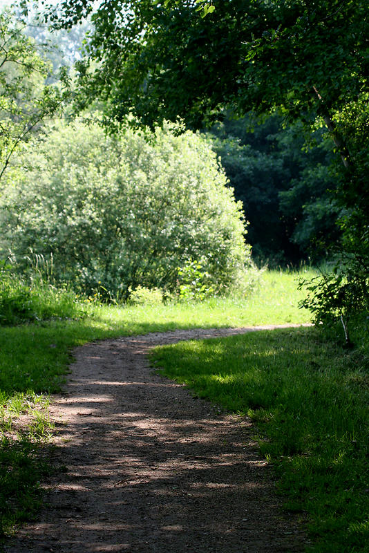 Rundweg am Ochsenwiesensee in Rodenbach