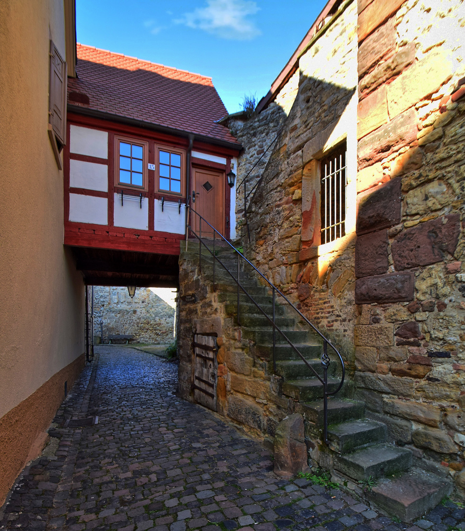 Rundweg an der Freinsheimer Stadtmauer (1)