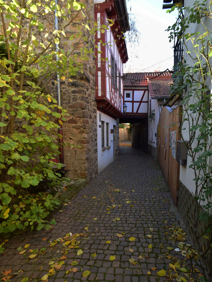 Rundweg an der Freinsheimer Stadtmauer (2)