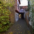 Rundweg an der Freinsheimer Stadtmauer (2)