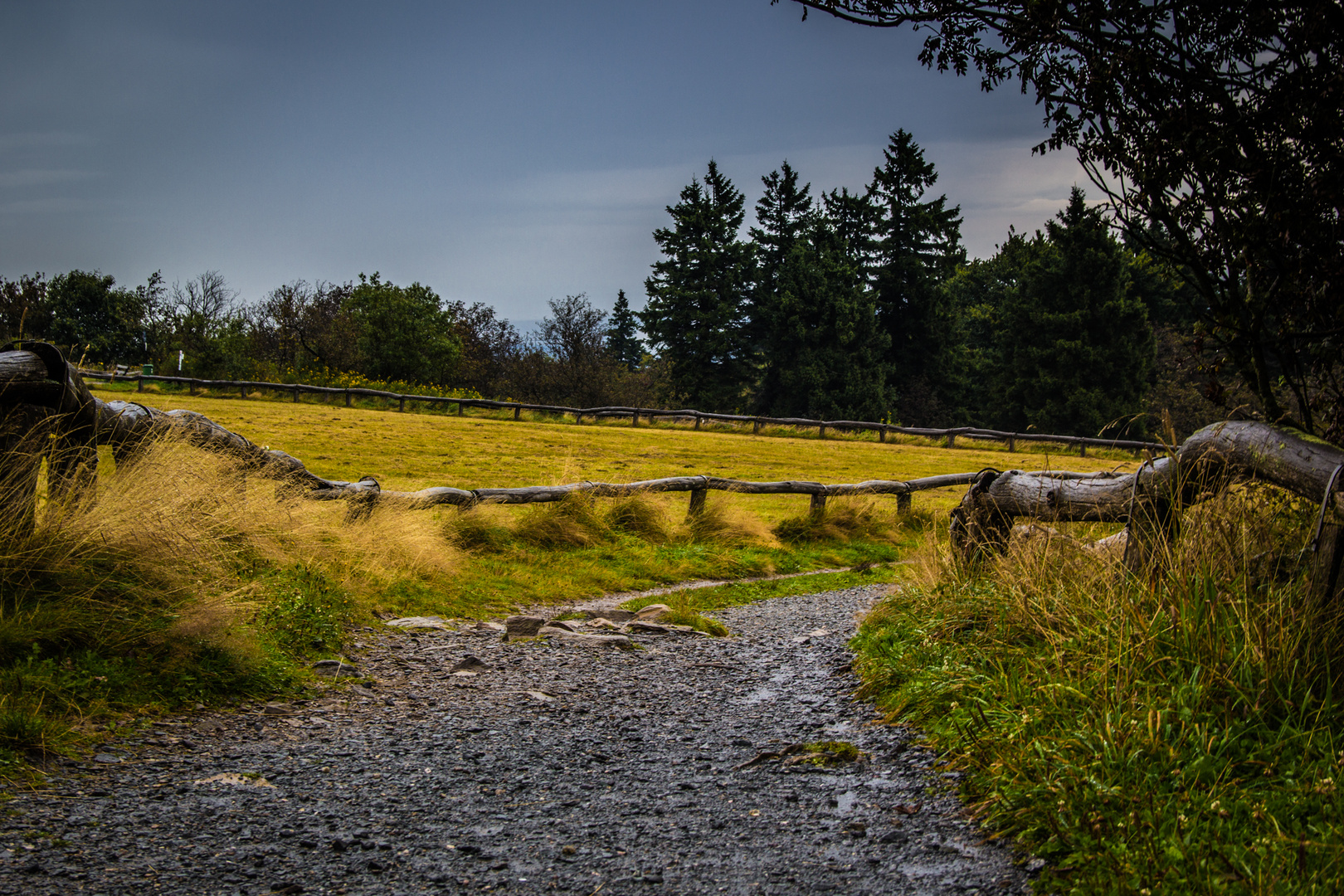 Rundweg auf dem großen Feldberg im Taunus