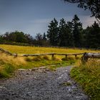 Rundweg auf dem großen Feldberg im Taunus