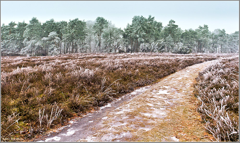 Rundweg durch das "frostige" Naturschutzgebiet "Heiliges Meer"