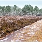 Rundweg durch das "frostige" Naturschutzgebiet "Heiliges Meer"