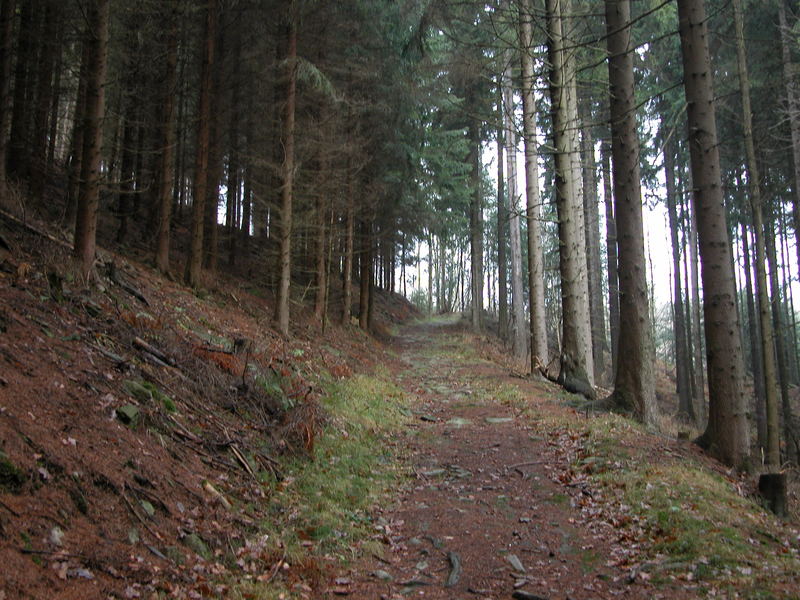 Rundweg Grünhainichen