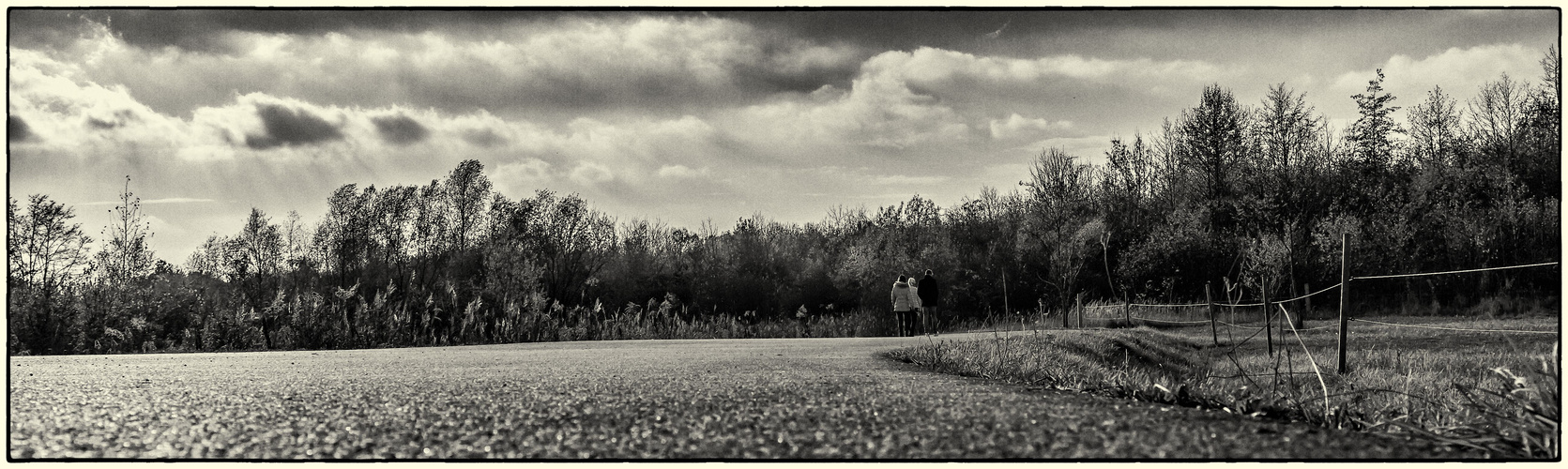 Rundweg Markkleeberger See