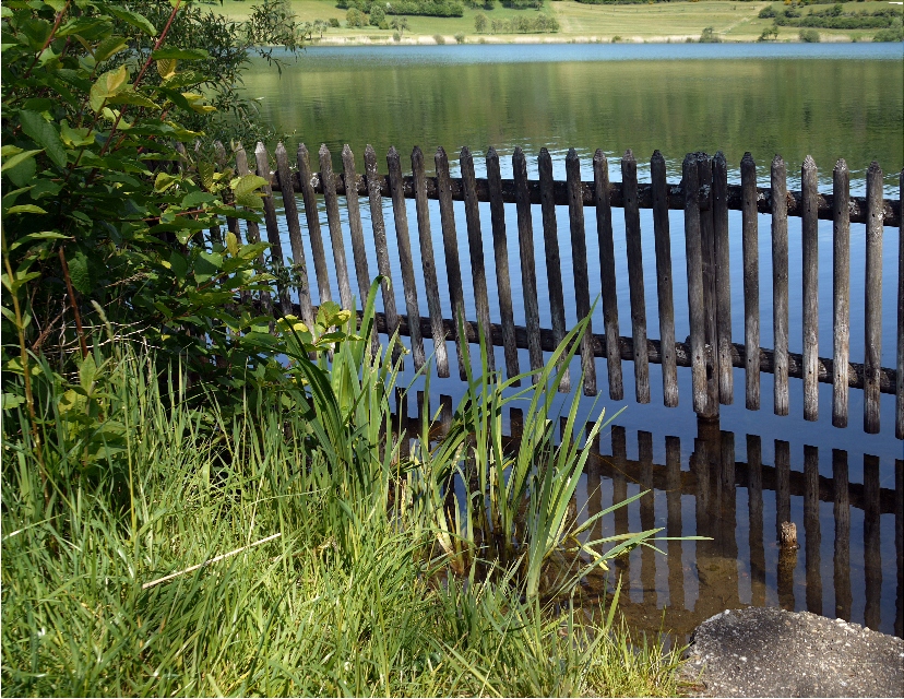 Rundweg Schalkenmehrener Maar