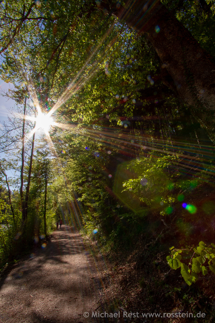 Rundweg Schloßweiher Hohenburg