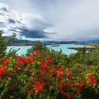 Rundweg Torres del Paine