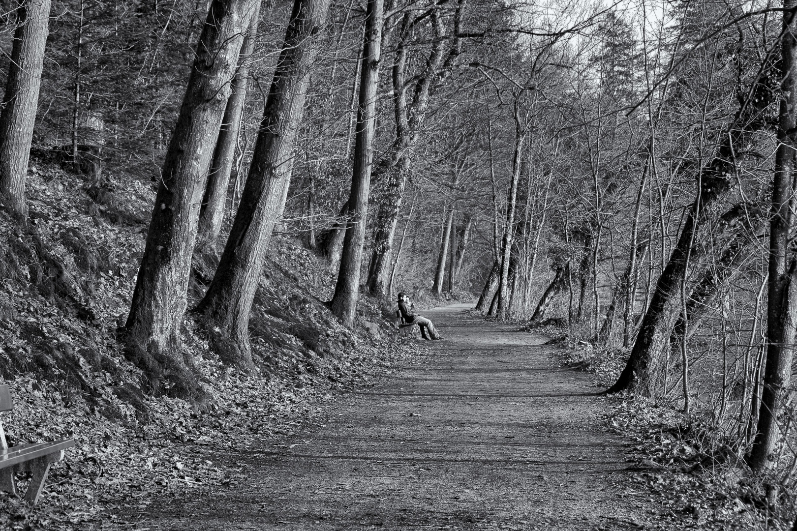 Rundweg um Bergsee