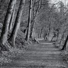 Rundweg um Bergsee